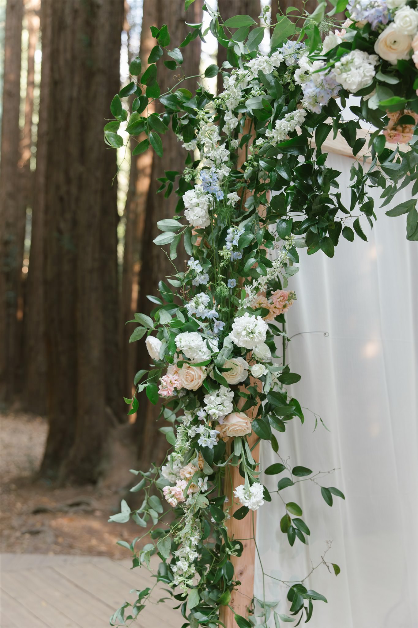 bay area wedding photographer