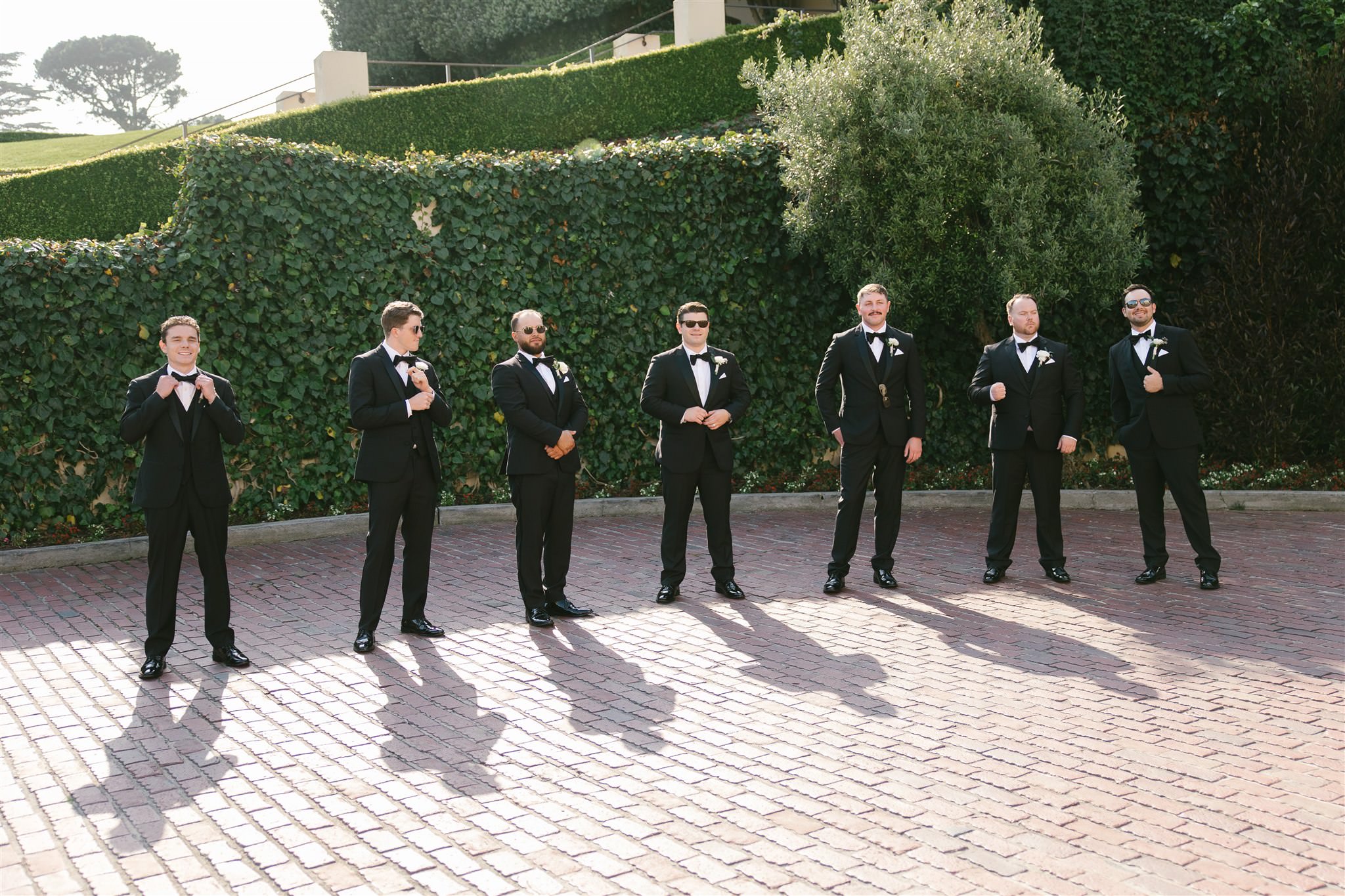 san francisco wedding photographer